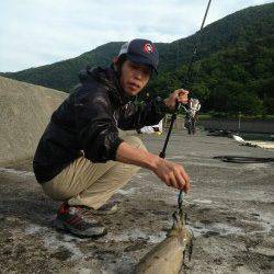 小浜港　エギングで朝マズメにコウイカがヒット