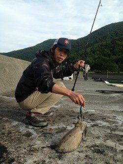 小浜港　エギングで朝マズメにコウイカがヒット