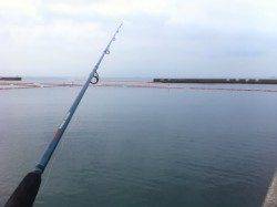 須磨の岸壁から投げ釣り、キス・ベラ・コチ