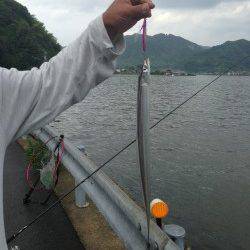 雨後を狙って…千歳でのショアジギング★