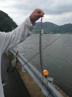 雨後を狙って…千歳でのショアジギング★