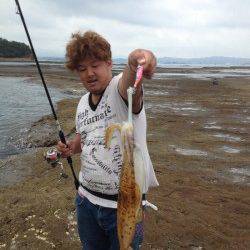 朝からのエギングでアオリキロアップ・新子の姿も