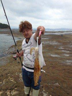 朝からのエギングでアオリキロアップ・新子の姿も