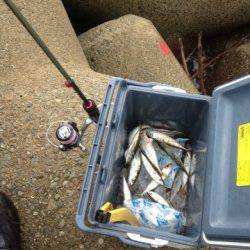 須磨でウルトラライトジギング!