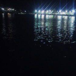 深日漁港　エギングはアタリ無く、ガシリングでガシラゲット