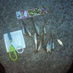 洲本　夕方に近投でキス10匹☆