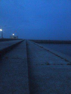 洲本　夕方に近投でキス10匹☆