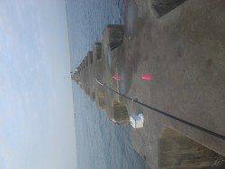 武庫川河口でオクトパッシング　際より沖でHIT