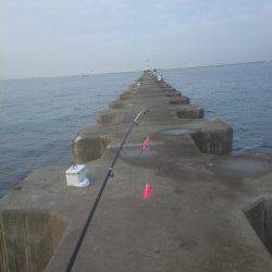 武庫川河口でオクトパッシング　際より沖でHIT