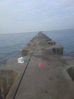 武庫川河口でオクトパッシング　際より沖でHIT