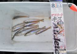 柴山港でキスゲーム、最大の21cmのシロギ…