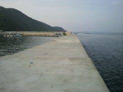 鰯浜の波止 ちょい投げでキス〜21cm20匹 SLシンカ―使用