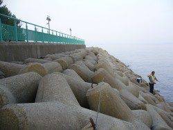 泉佐野エリアでガツンと 26cmソイがヒット