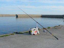 鳥飼　投げ釣りでキス〜15cm34匹　アジの22cmも
