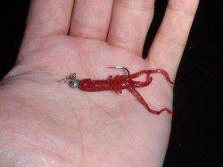 大阪南港　チニングでキビレ〜43cm16尾の好釣果！