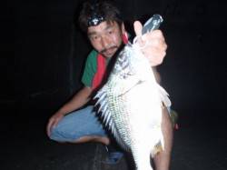 大阪南港　チニングでキビレ〜43cm16尾…