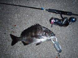 舞洲　チニングでチヌ＆ボラがヒット