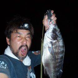 大阪南港でチニング、釣果も激熱！