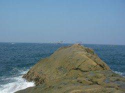 渡船を利用してカゴ釣りでサバ連発♪