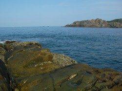 すさみの地磯でのカゴ釣り釣果