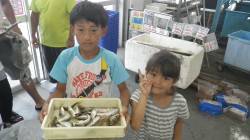 堺漁港でFamilyサビキ・エギング☆やっ…