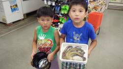 埴田漁港のキッズ釣果☆マダコ・キス・アジな…