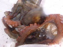 朝の北公園も小野浜もいい感じ！