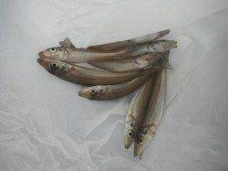 暑い日は車横付けが最高♪泉大津RT13日朝