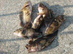 【今日もいいぞ♪】南芦屋浜リアルタイム