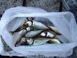 雨もあがりました♪ 泉大津RT24日あさ