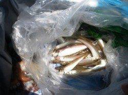 帰ってからのお楽しみ♪　泉大津RT8日ひる