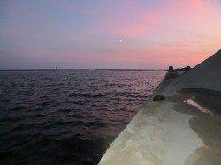 夕暮れの青岸でタコ狙い！！