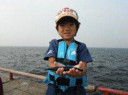 朝からアジ好調♪鳴尾浜臨海公園海づり広場ＲＴ