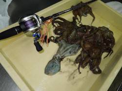 【30分8ヒット】助松埠頭のオクトパッシン…