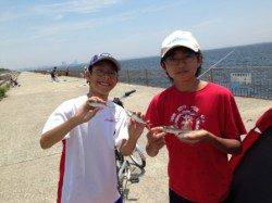 【サビキで豆アジ・タコ１２杯！】南芦屋浜