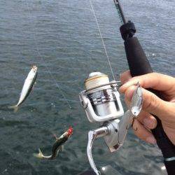 楽釣！【サバゲー】お昼でも当たりっぱなし！！