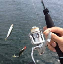 楽釣！【サバゲー】お昼でも当たりっぱなし！…