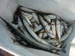 【今日もいいぞ♪】南芦屋浜リアルタイム