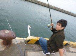 須磨にてサビキ釣り！