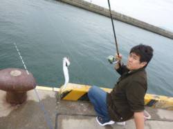 須磨にてサビキ釣り！