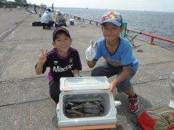 【アジ・サバ・サヨリ】鳴尾浜RT!