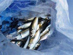 雨もあがりました♪ 泉大津RT24日あさ