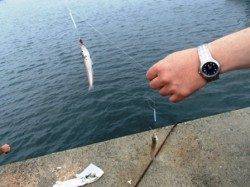 雨もあがりました♪ 泉大津RT24日あさ