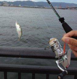 空港でもサバゲー！一投目から！？