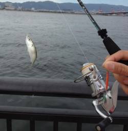 空港でもサバゲー！一投目から！？