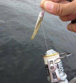 空港でもサバゲー！一投目から！？