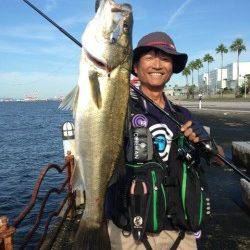 神戸港のデイゲームシーバス