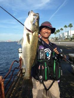 神戸港のデイゲームシーバス