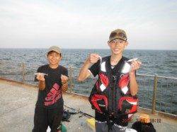 【サビキパラダイス♪】南芦屋浜