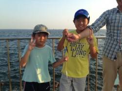 【豆アジ爆釣中！小サバ小カマスも】南芦屋浜…